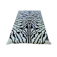Solaron Queen Zebra Print Korean Mink Blanket