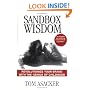 Sandbox Wisdom:  Revolutionize Your Brand with the Genius of Childhood