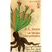 Le temps des poisons