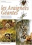 Les araign�es g�antes