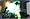 Halo 2 (PC DVD)