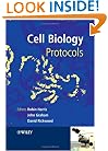 Cell Biology Protocols