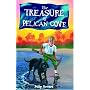 The Treasure of Pelican Cove