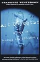Art Objects: Essays on Ecstasy and Effrontery (Vintage International)