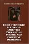 Brief Strategic Solution-Oriented Therapy of Phobic and Obsessive Disorders