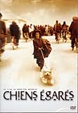 Chiens Egares / Stray Dogs (Widescreen)