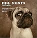 Pug Shots パグショット