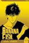 Banana Fish, Vol. 17 (Banana Fish (Graphic Novels))