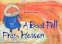 A Boot Fell from Heaven