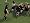 Rugby 2005 (PS2)