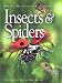 Book Insects and Spiders (Home Reference Library (San Francisco, Calif.).)