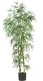 New Nearly Natural 6 &acute; Fancy Style Slim Bamboo Silk Tree Elegant Realistic Look Attractive Pretty - B001DQIU5M