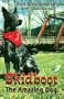 Skidboot: The Amazing Dog