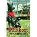 Skidboot: The Amazing Dog
