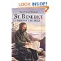 St. Benedict: Hero of the Hills (Vision Books)