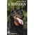 Le beauceron : Un campagnard loyal et courageux
