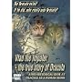 Vlad the Impaler - the true story of Dracula