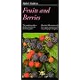Taylor's Guide to Fruits and Berries by Holmes