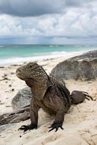 Cuba Belt-tail Iguana - Peel and Stick Wall Decal by Wallmonkeys