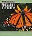 The World of the Monarch Butterfly