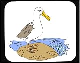 Decorated Mouse Pad with bird, animal, sea, albatross