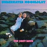 The Soft Boys - Underwater Moonlight...And How It Got There