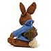 Gund Peter Rabbit Father and Son