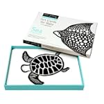 Baby Flash Cards