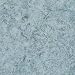 Armstrong Translations Blue Flog Vinyl Flooring