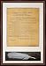 Memorial Day 50% Sale. The Bill of Rights. High Quality Replica of Historical document. Genuine Parchment & Quill. Framed and Matted