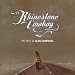 Rhinestone Cowboy-the Best of