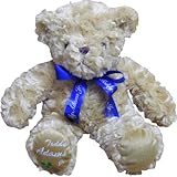 テディアダムスJr Sゴールド