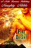 Fire in the Desert