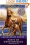 Misty Of Chincoteague (Turtleback School & Library Binding Edition)