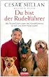 Du bist der Rudelführer: Wie Sie die Erfahrungen des Hundeflüsterers für sich und Ihren Hund nutzen