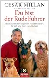 Du bist der Rudelführer: Wie Sie die Erfahrungen des Hundeflüsterers für sich und Ihren Hund nutzen