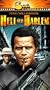 Hell in Harlem [VHS]