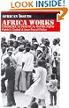 Africa Works: Disorder as Political Instrument (African Issues)