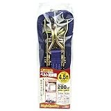 ベルト荷締機 4m×幅25mm フック JNPR100J/ラッシングベルト【JSH】