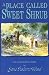 A Place Called Sweet Shrub: The Second Novel in a Trilogy (Lucinda Richards Trilogy)