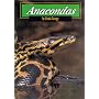 Anacondas (Snakes)