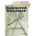 Hammered Dulcimer ragamuffin style!