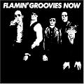 Flamin' Groovies Now