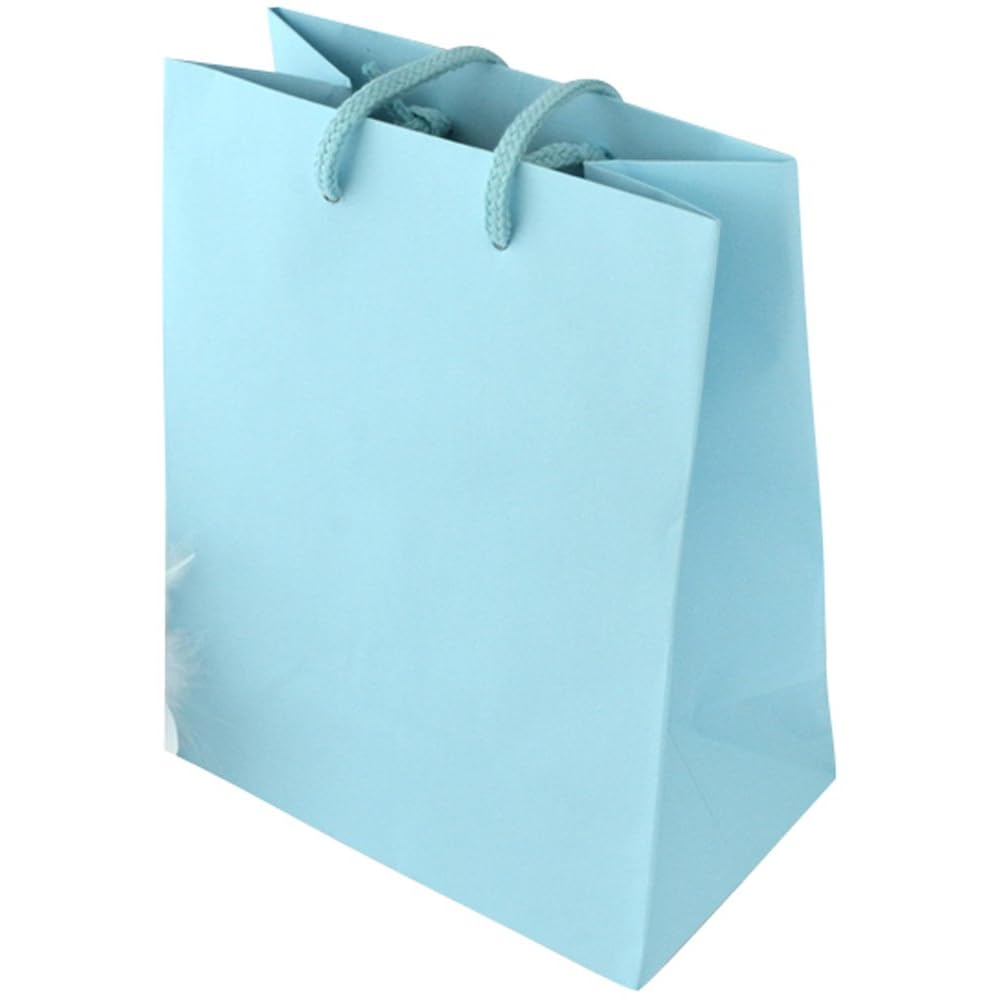 色纸袋,纸袋手袋手袋背清洁提包,代购日本,国外