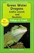 Green Water Dragons, Sailfin Lizards and Basilisks
