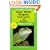Green Water Dragons, Sailfin Lizards and Basilisks (General Care and Maintenance of Series)