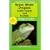 Green Water Dragons, Sailfin Lizards and Basilisks (General Care and Maintenance of Series)