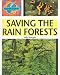 Saving the Rainforests