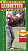 A Lesson With Leadbetter: Swing Fundamentals [VHS]