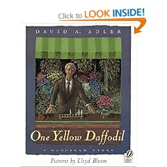One Yellow Daffodil